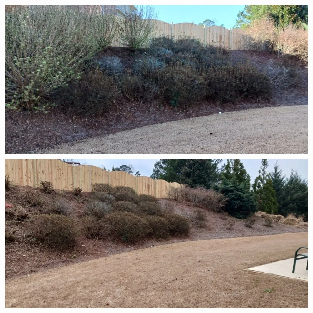 Expert lawn care service in Dahlonega, GA by The Irish Landscaper