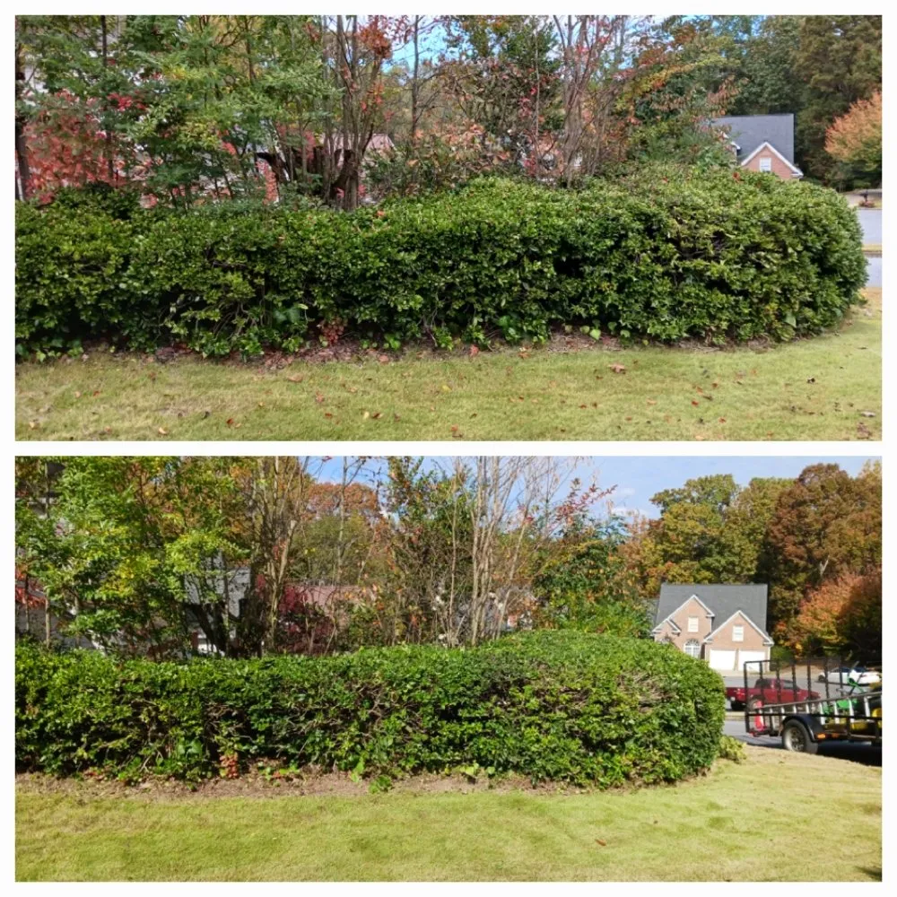 Expert landscape installation experts serving Dahlonega, GA - The Irish Landscaper