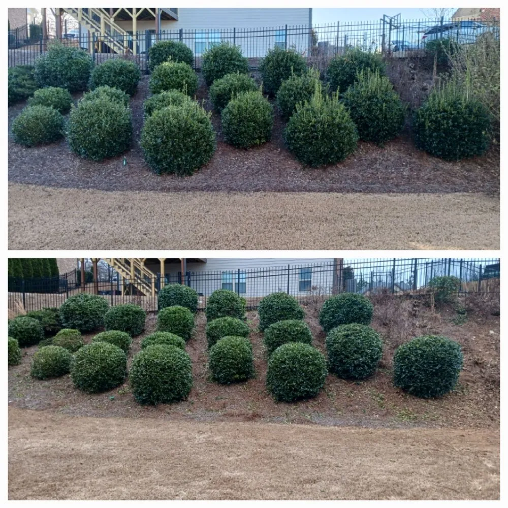 Top-rated landscaping services in Dahlonega, GA - The Irish Landscaper