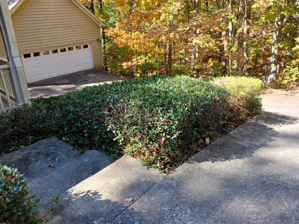 Local yard cleanup service for beautiful yards across Dahlonega, GA - The Irish Landscaper
