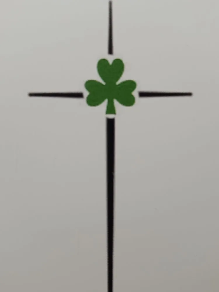 Professional yard cleanup service experts serving Dahlonega, GA - The Irish Landscaper