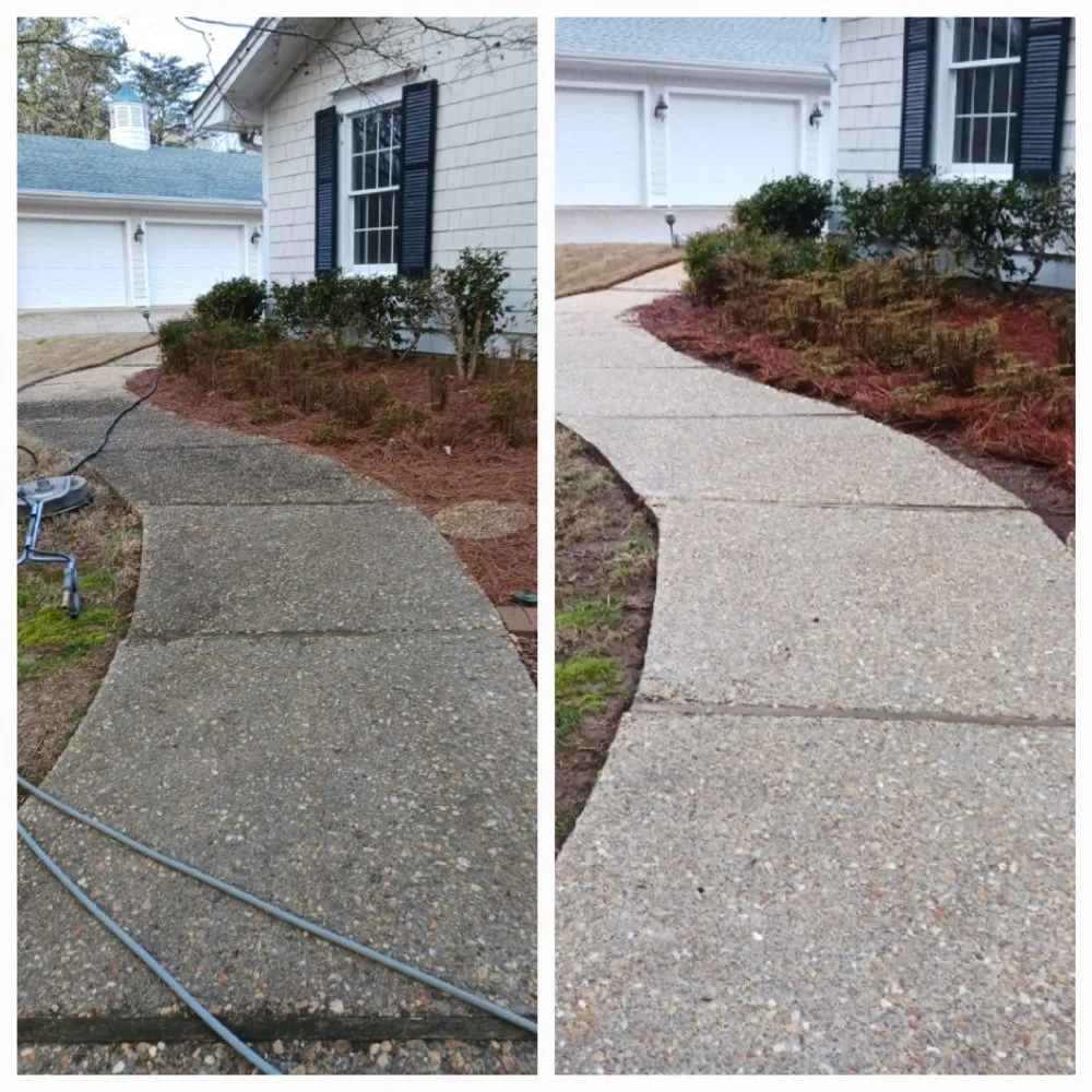 Trusted yard cleanup service for year-round maintenance across Dahlonega, GA - The Irish Landscaper