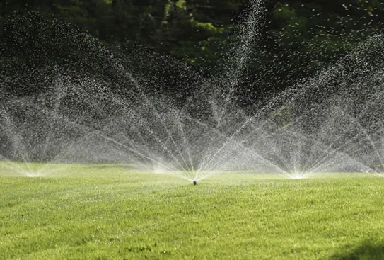 Reliable outdoor landscaping in Lago Vista, TX by The Irrigation Doctor