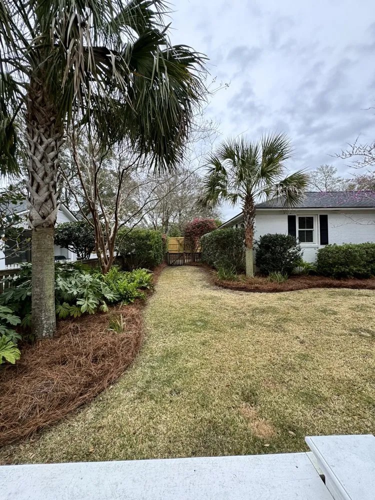 Reliable landscape design for residential properties across Charleston, SC - The Island Landscapes