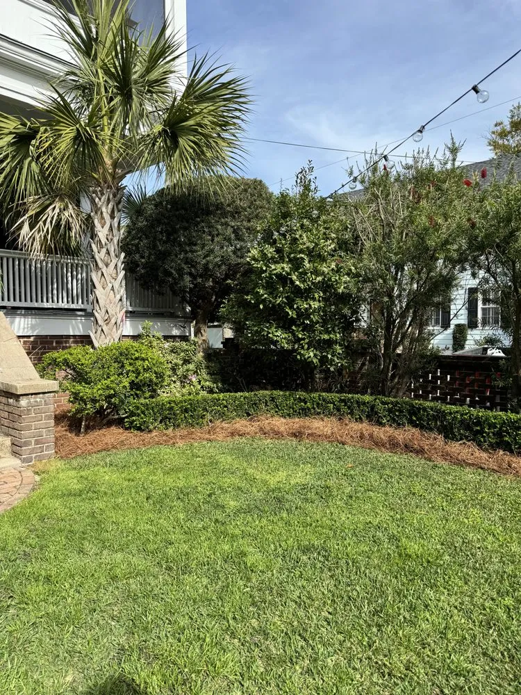 Affordable yard maintenance experts serving Charleston, SC - The Island Landscapes