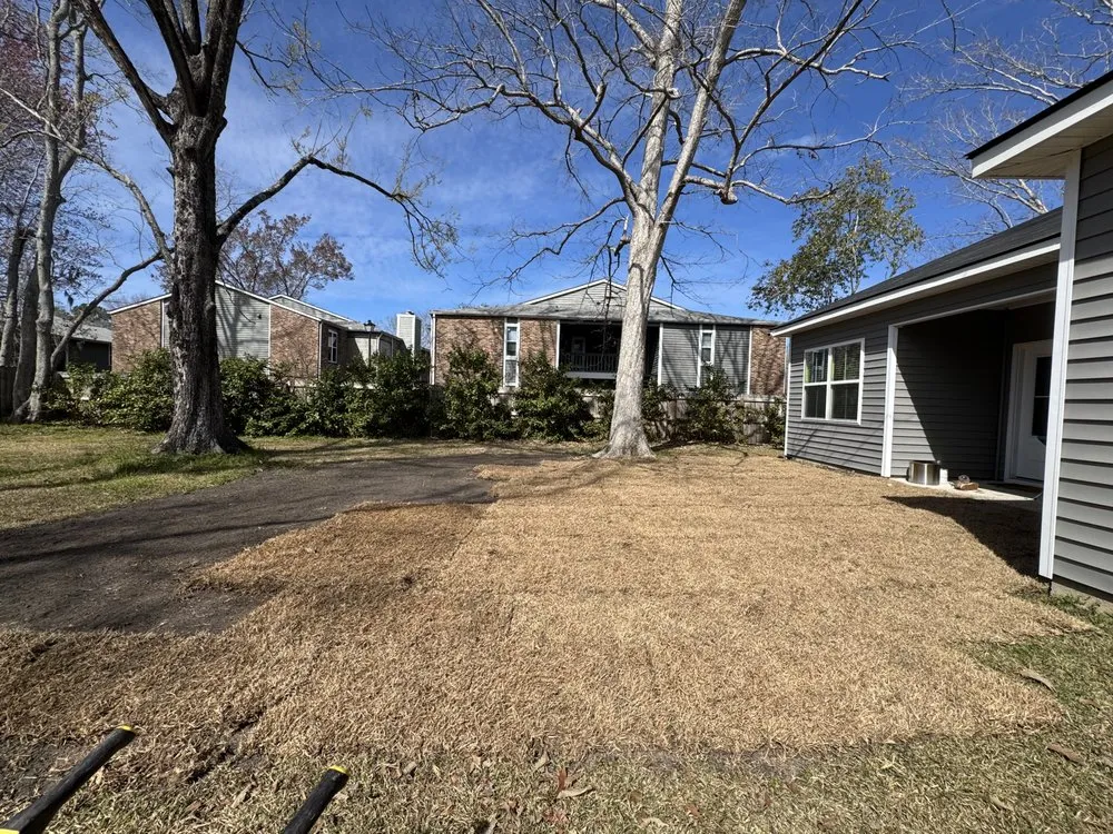 Professional residential landscaping in Charleston, SC - The Island Landscapes