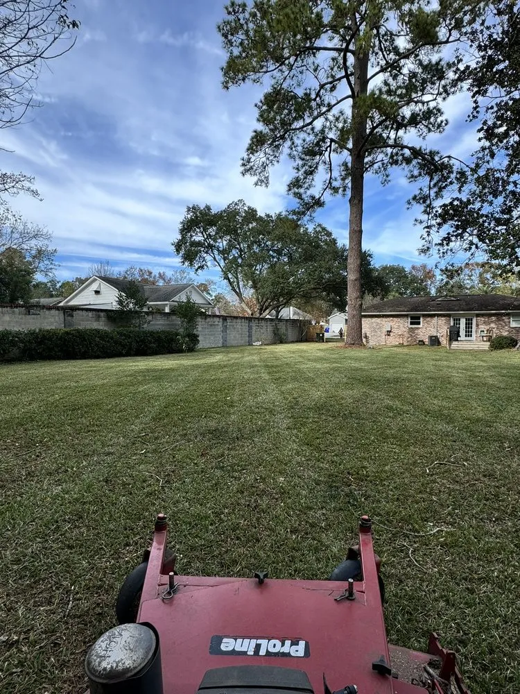 Professional yard cleanup service for homes in Charleston, SC by The Island Landscapes