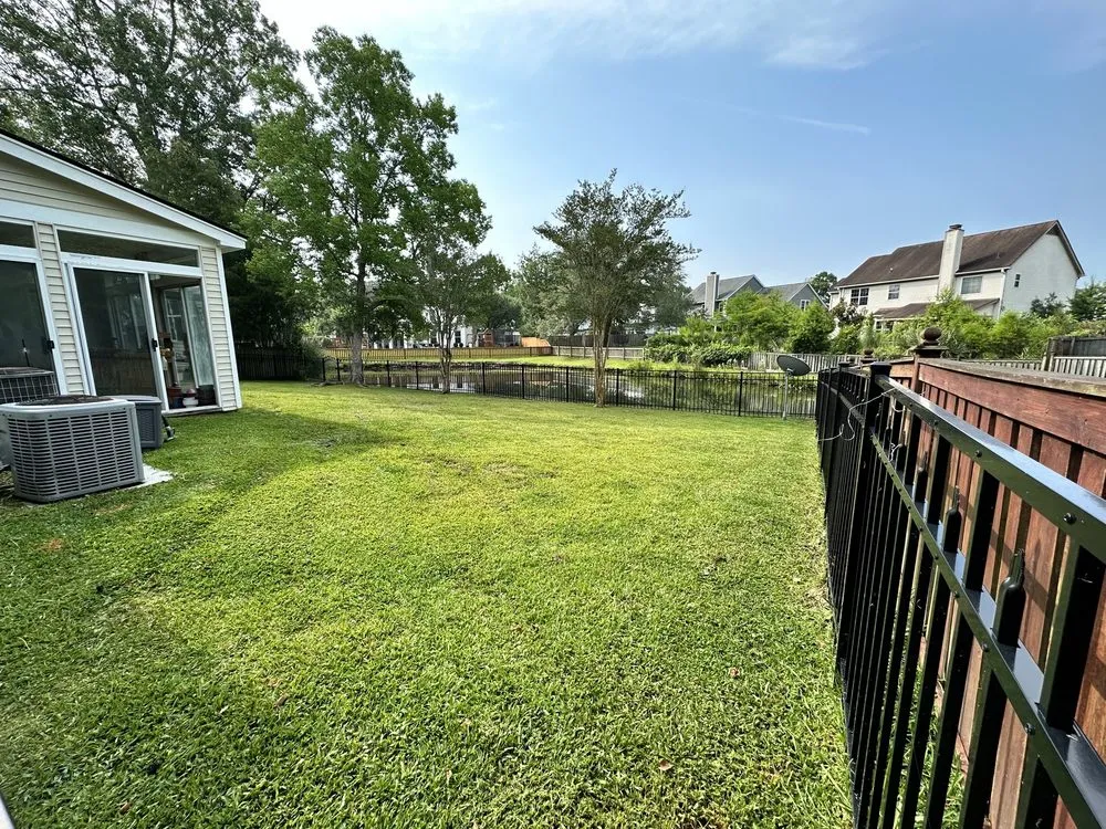 Professional yard cleanup service in Charleston, SC by The Island Landscapes