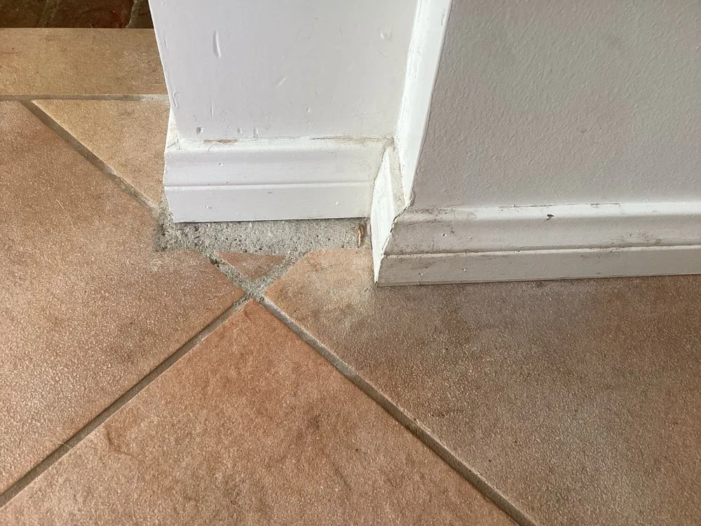 Affordable yard maintenance experts serving Los Angeles, CA - The Ivy Builders