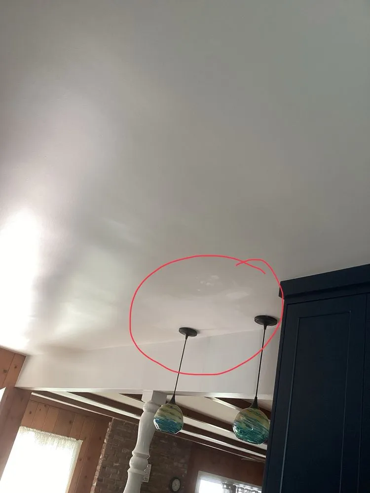 Custom yard cleanup service in Los Angeles, CA - The Ivy Builders