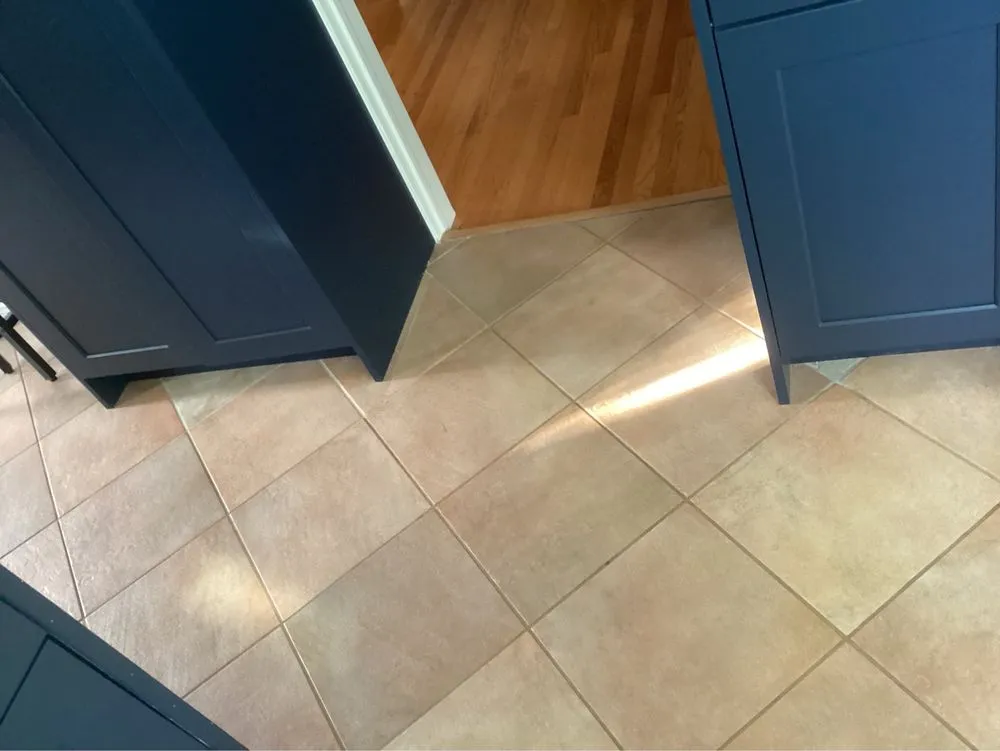 Expert lawn care service in Los Angeles, CA by The Ivy Builders