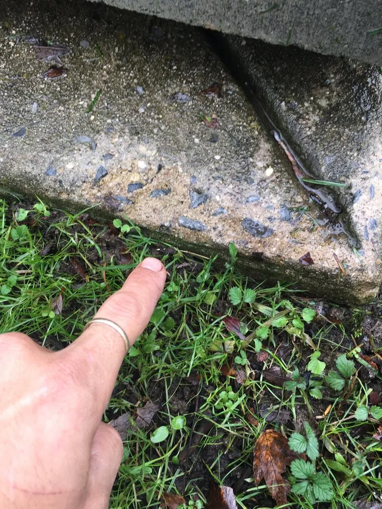 Custom garden landscaping in Carneys Point, NJ - The J Boys