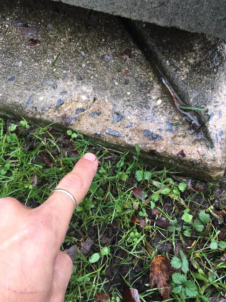 Custom lawn care service in Carneys Point, NJ by The J Boys