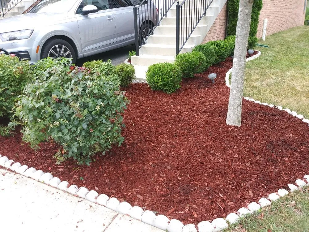 Reliable lawn care service near you in Sterling, VA by The JackGreen Tree & Landscape Service