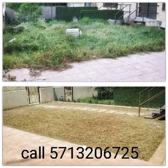 Trusted outdoor landscaping for year-round maintenance in Sterling, VA by The JackGreen Tree & Landscape Service