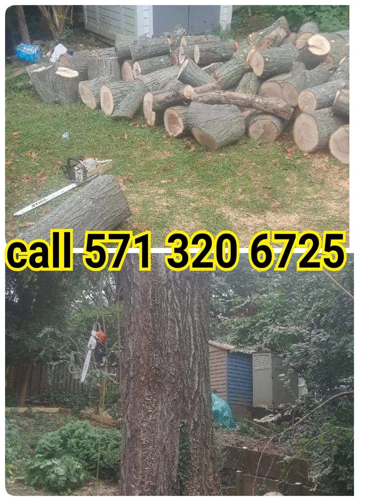 Professional lawn mowing service in Sterling, VA by The JackGreen Tree & Landscape Service