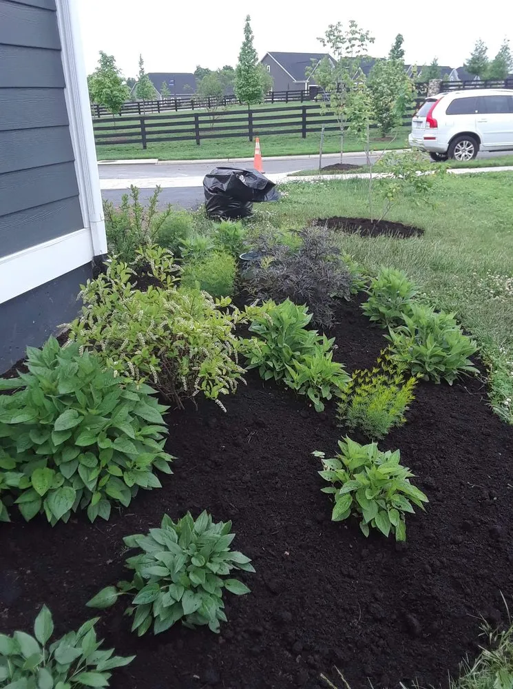 Professional lawn care service with custom design across Sterling, VA - The JackGreen Tree & Landscape Service