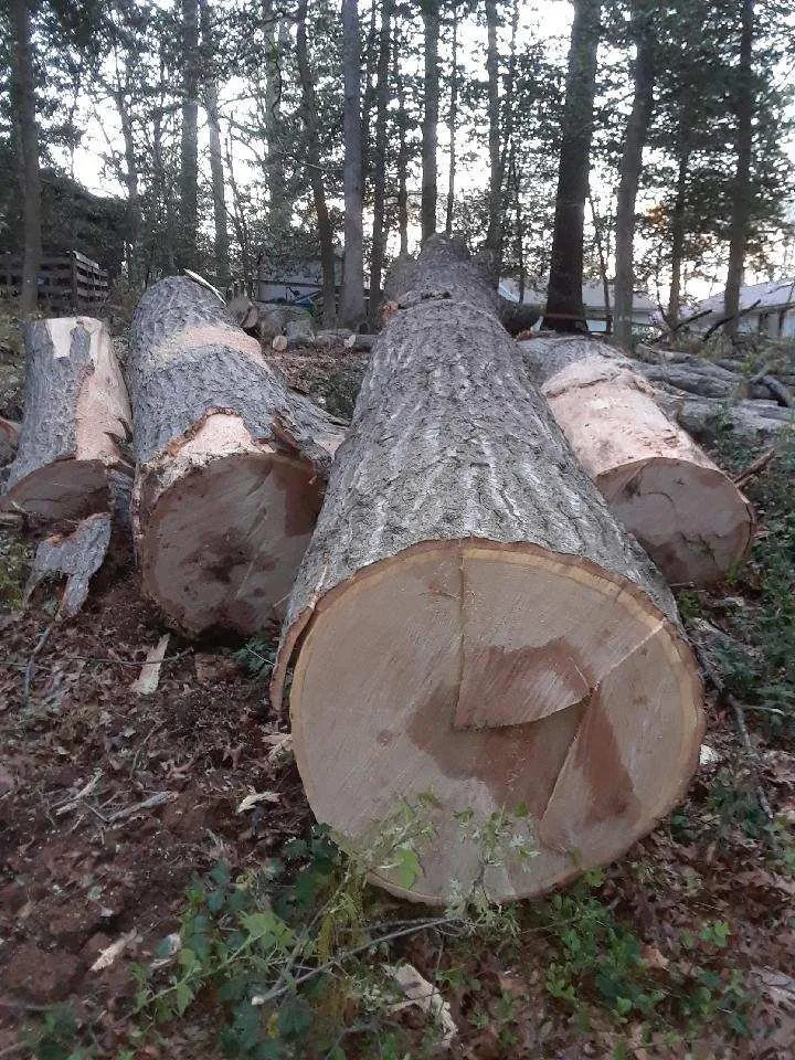 Trusted lawn mowing service with custom design in Sterling, VA by The JackGreen Tree & Landscape Service