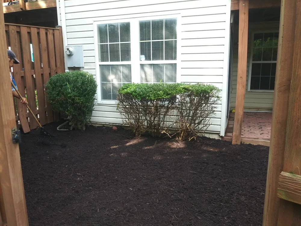 Reliable lawn care service experts serving Sterling, VA - The JackGreen Tree & Landscape Service