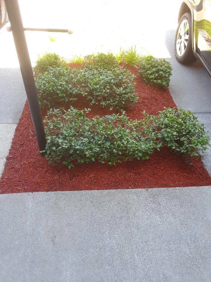 Local landscaping services experts serving Sterling, VA - The JackGreen Tree & Landscape Service