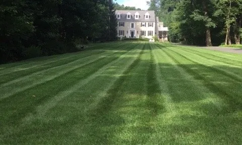 Professional residential landscaping in West Caldwell, NJ - The James R Haas Landscape Spectrum