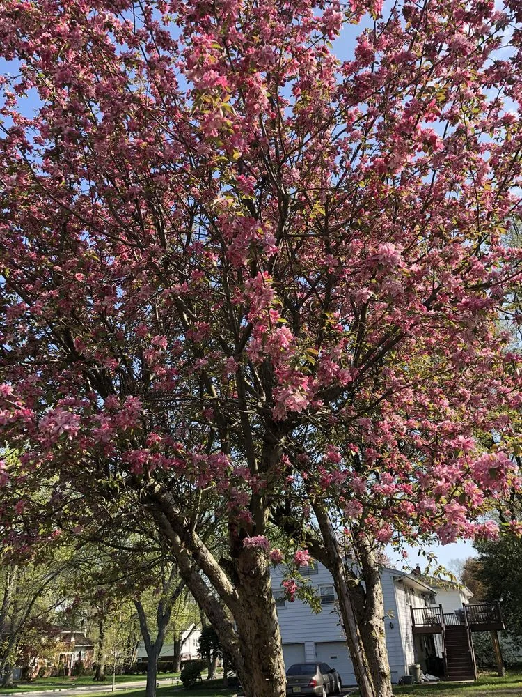 Trusted lawn mowing service in West Caldwell, NJ - The James R Haas Landscape Spectrum