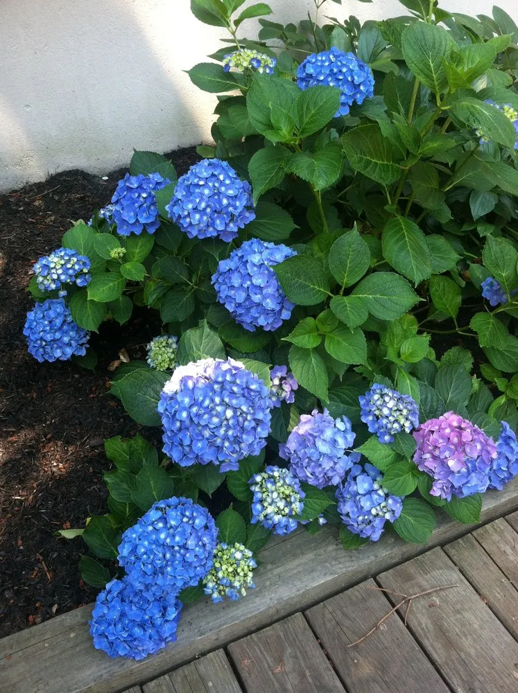 Expert landscaping services experts serving West Caldwell, NJ - The James R Haas Landscape Spectrum