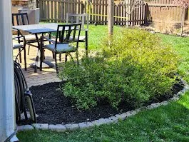 Professional yard maintenance for year-round maintenance in Bessemer City, NC by The Jewel Lawn Care