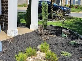 Affordable yard maintenance experts serving Bessemer City, NC - The Jewel Lawn Care