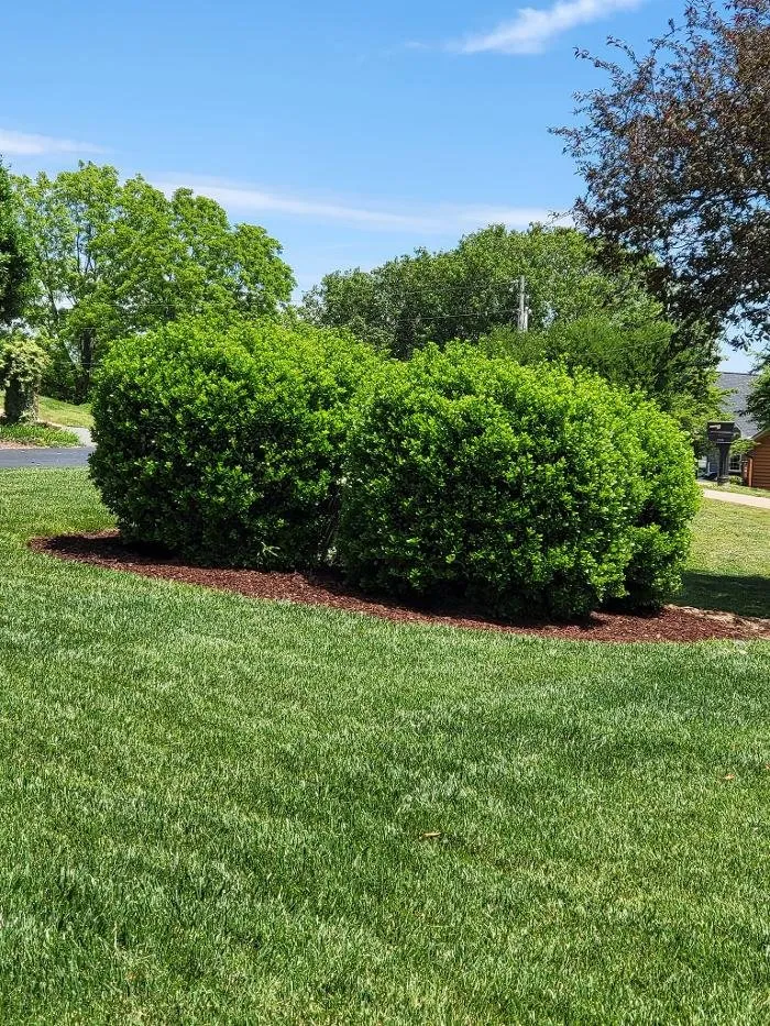 Professional residential landscaping experts serving Bessemer City, NC - The Jewel Lawn Care