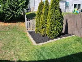 Professional lawn care service near you across Bessemer City, NC - The Jewel Lawn Care