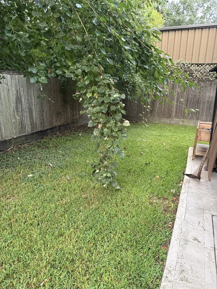 Local landscape installation with custom design in Houston, TX by The Johnsons Lawn Care