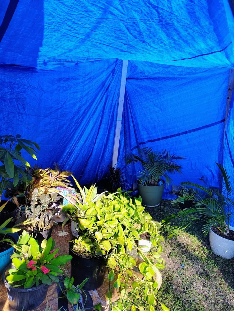 Custom outdoor landscaping with custom design across Houston, TX - The Johnsons Lawn Care