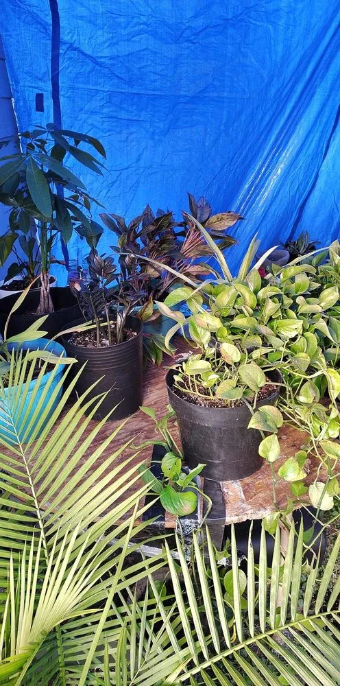 Affordable landscape design in Houston, TX - The Johnsons Lawn Care