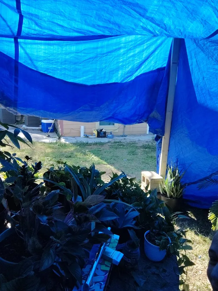 Affordable outdoor landscaping for homes across Houston, TX - The Johnsons Lawn Care