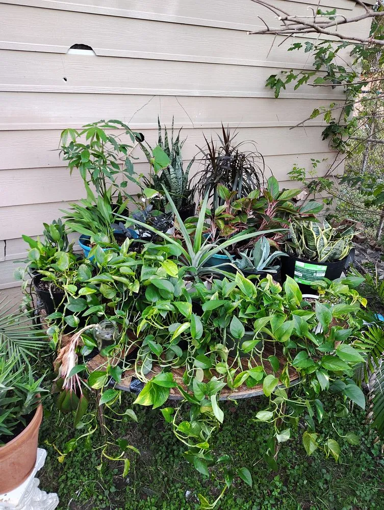 Affordable landscaping services in Houston, TX - The Johnsons Lawn Care