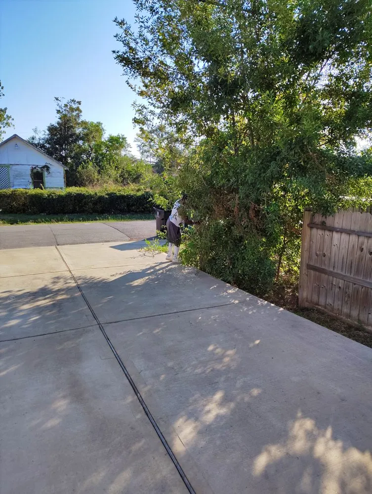 Top-rated landscape design for year-round maintenance in Houston, TX by The Johnsons Lawn Care