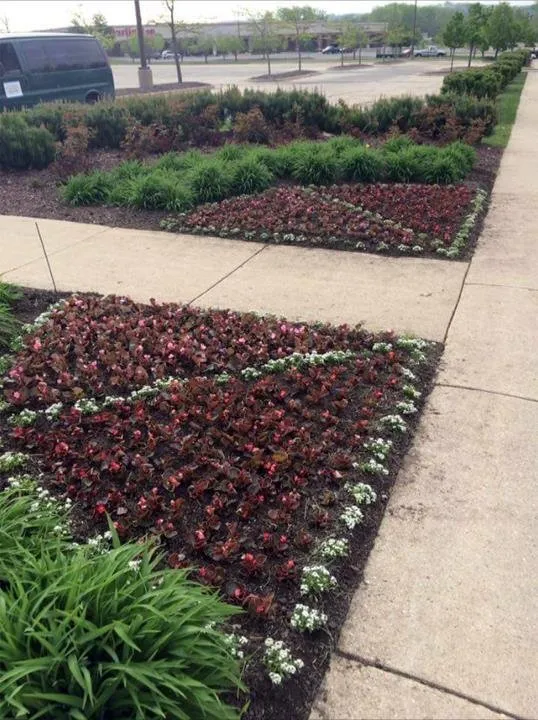 Local lawn mowing service near you in Evansville, WI by The Jomago Company