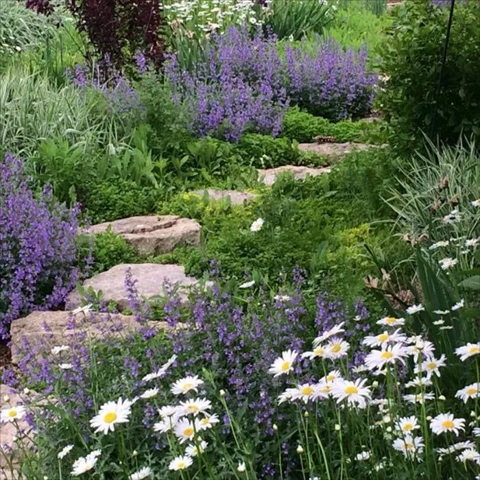 Top-rated lawn mowing service for homes in Evansville, WI by The Jomago Company