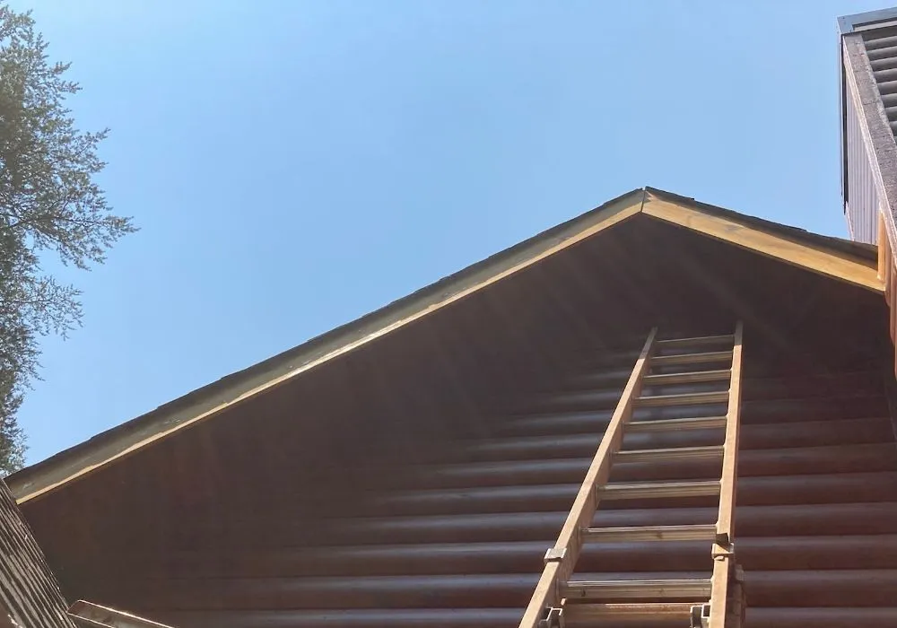 Custom yard cleanup service experts serving Ellijay, GA - The Jones Brothers