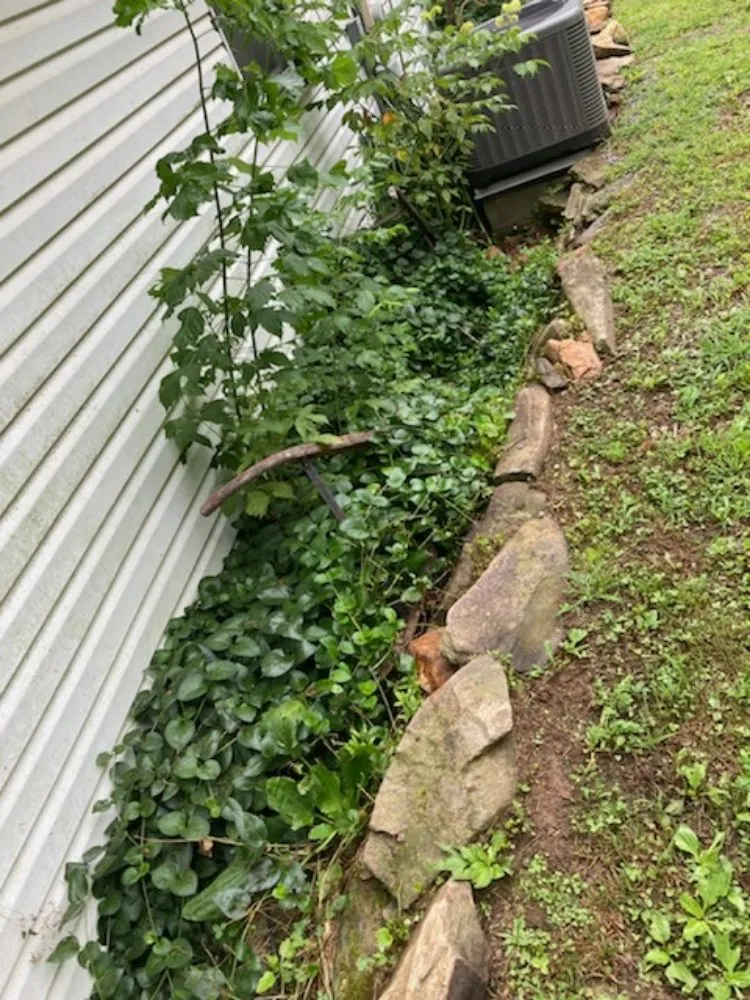 Top-rated lawn mowing service in Ellijay, GA - The Jones Brothers