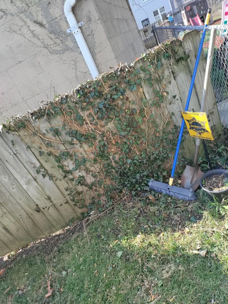 Professional yard cleanup service for beautiful yards across Toledo, OH - The J's Get It Done 419