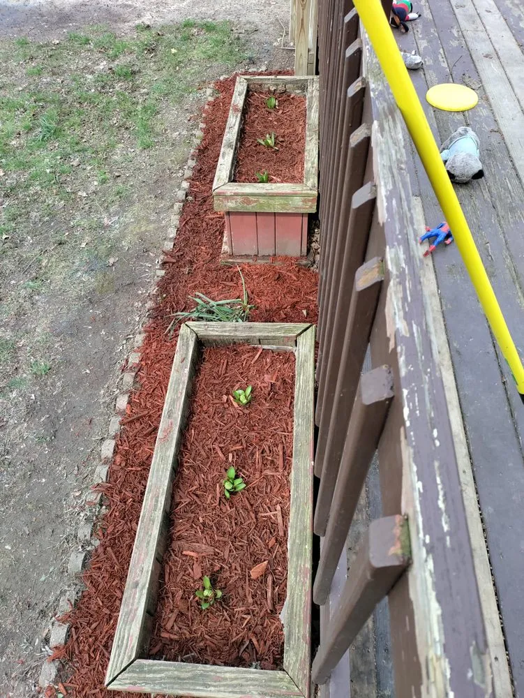 Expert landscape installation in Toledo, OH by The J's Get It Done 419