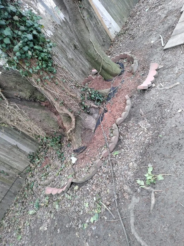 Top-rated lawn care service in Toledo, OH by The J's Get It Done 419