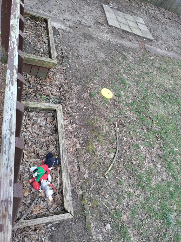 Professional yard cleanup service experts serving Toledo, OH - The J's Get It Done 419