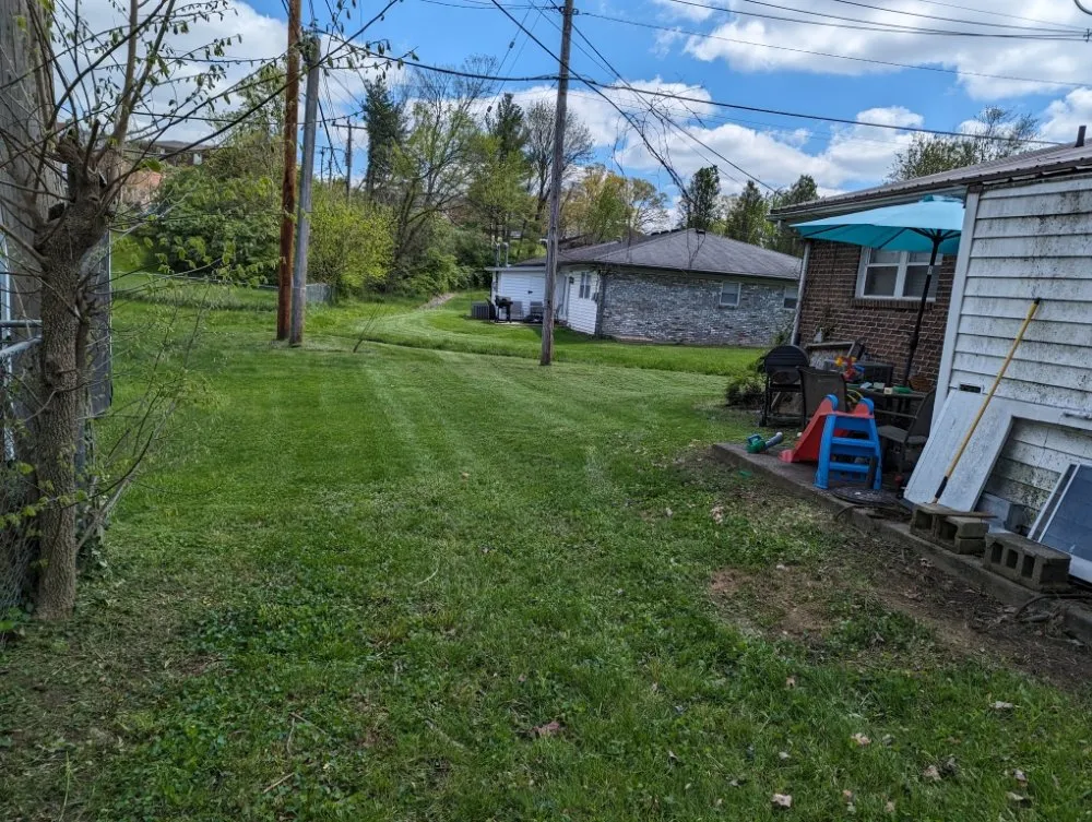 Expert yard cleanup service for residential properties across Frankfort, KY - The Judicious Home Improvers