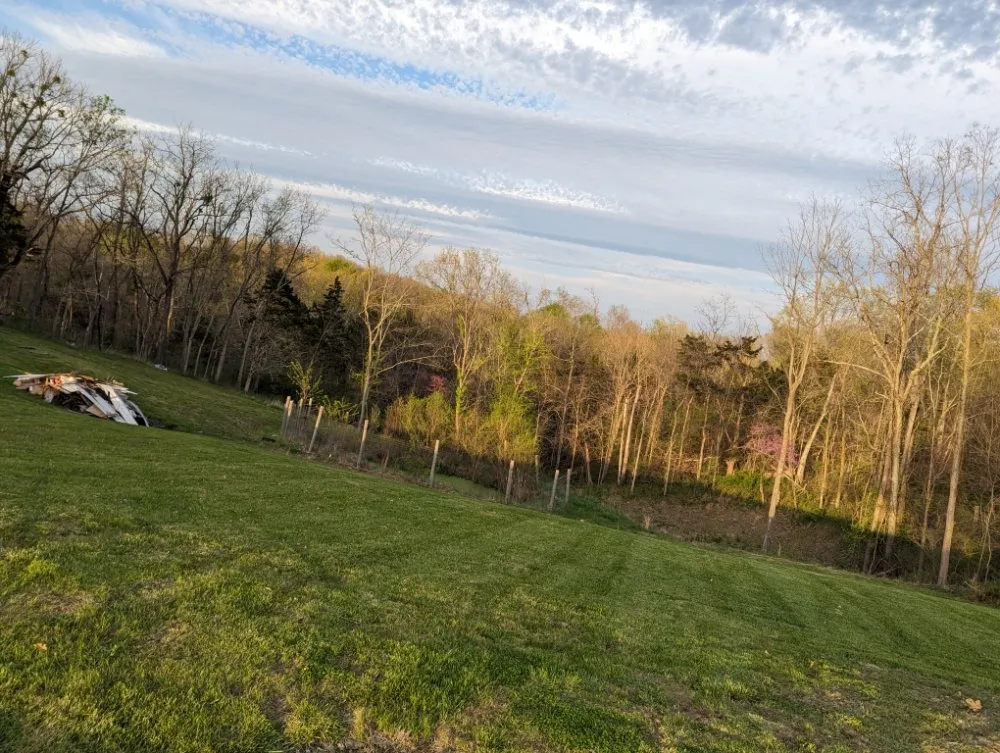 Reliable yard maintenance in Frankfort, KY - The Judicious Home Improvers