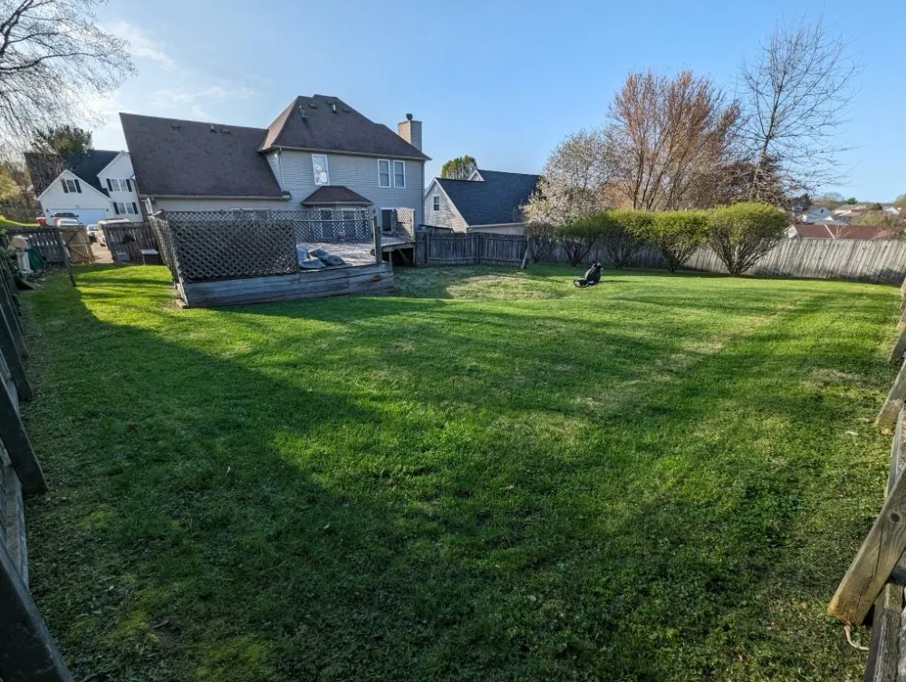 Affordable lawn care service near you in Frankfort, KY by The Judicious Home Improvers