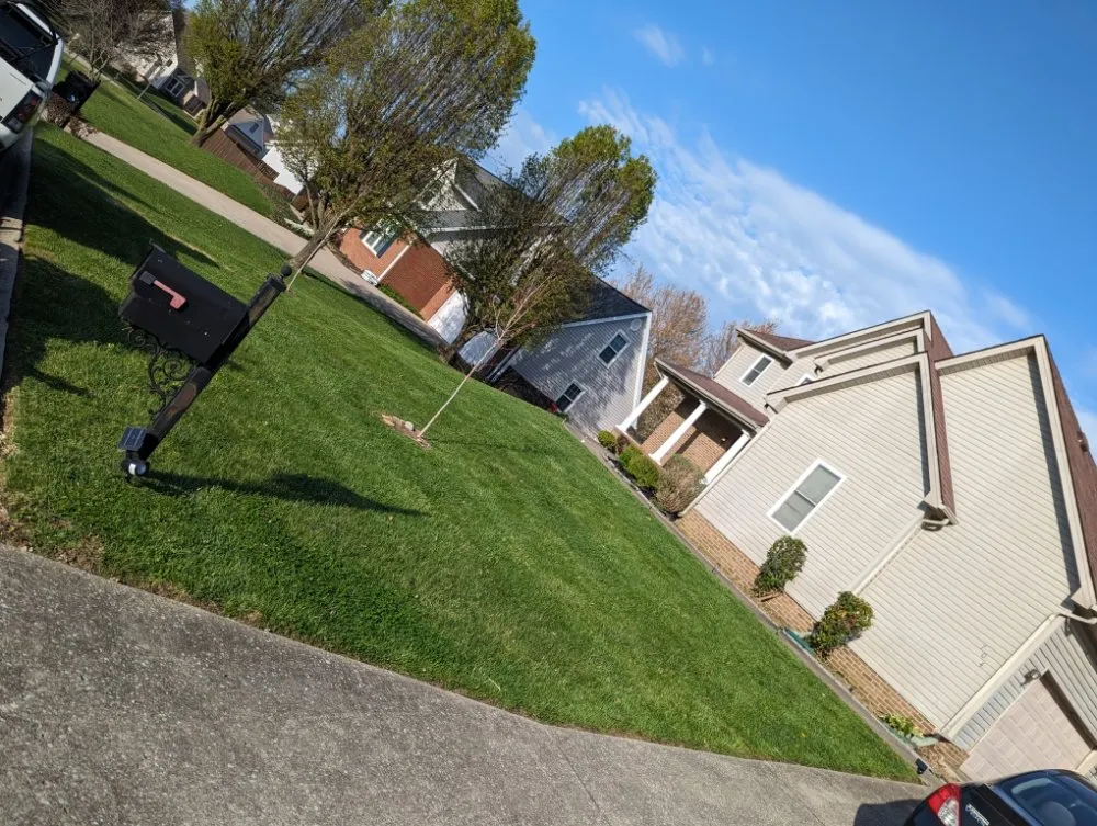 Affordable residential landscaping for year-round maintenance in Frankfort, KY by The Judicious Home Improvers