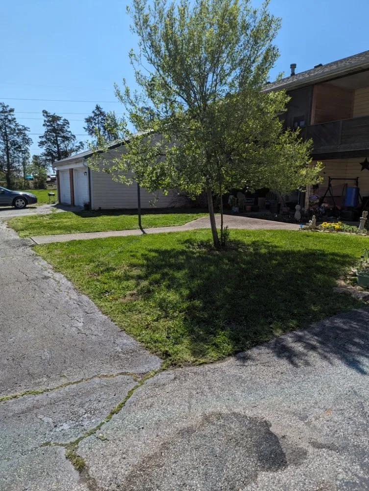 Top-rated landscaping services for year-round maintenance across Frankfort, KY - The Judicious Home Improvers